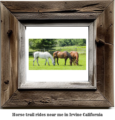 horse trail rides near me in Irvine, California